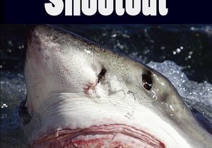 New Novel from Local Author